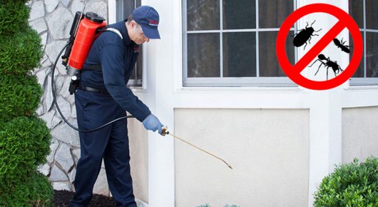 Toroslar Akrep İlaçlama böcek ilaçlama ve haşere kontrolü — ilaclama-tr.com